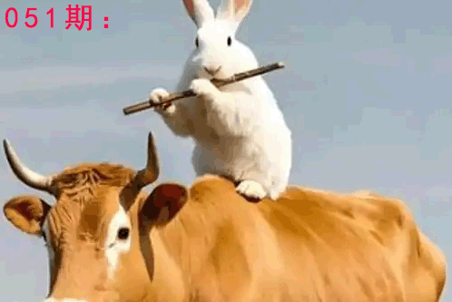 生活幽默解特码